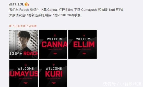 的重点研究 的重点研究